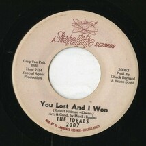 【7inch】試聴　IDEALS 　　(SATELLITE 2007) YOU HURT ME / YOU LOST AND I WON_画像2