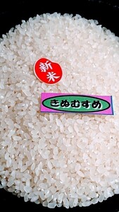 ◆令和５年産◆ きぬむすめ １等 精米２０kg　