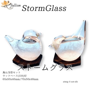 ストームグラス アクロクリスタ ウッドベース ダークブラウン 鳥A/B型セット ダークブラウン Storm Glass ウッドベース付属 