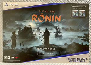 【非売品 B2ポスターのみ】《1点物》Rise of the Ronin【未使用品 告知 販促】ライズ オブ ローニン プレイステーション PS 5