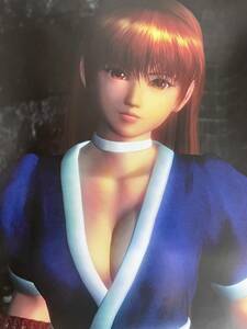 【非売品 B2ポスターのみ】DEAD OR ALIVE ONLINE【2004年製 未使用品 告知 販促】デッド オア アライブ オンライン DOA かすみ