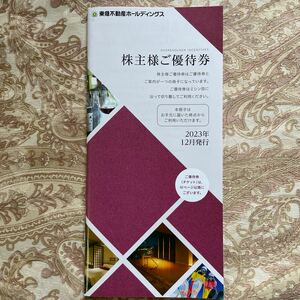 東急不動産ホールディングス株主優待券　送料無料　有効期限2024年8月31日まで