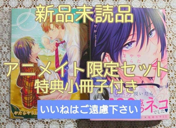 【いいね厳禁】※アニメイト特典付き　　新品未読品　『やたらやらしい深見くん/松本あやか』