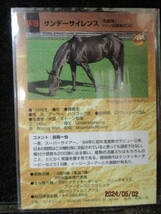 ★競馬カード サンデーサイレンス 1997　バンダイ　サラブレッドカード　下半期　M19 即決!!_画像2