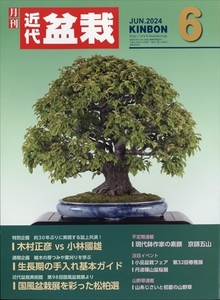 月刊近代盆栽 2024年 06 月号