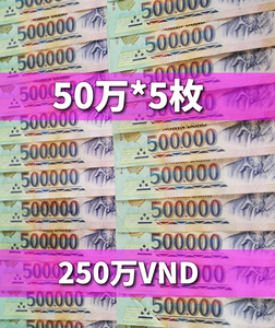 ベトナムドン/50万紙幣5枚/250万VND