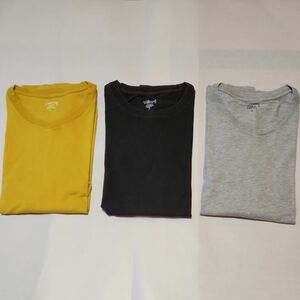 ３枚　STUSSY　ステューシー　Tシャツ　Mサイズ