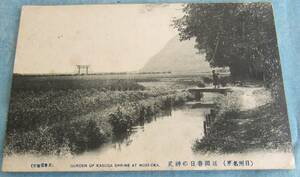 D145, war front picture postcard, Miyazaki prefecture . hill city picture postcard, spring day. god . scenery, chrysanthemum stamp pasting . shape . seal entire, Taisho the first period ..., Tokyo addressed to . actual use did thing, excellent preservation 