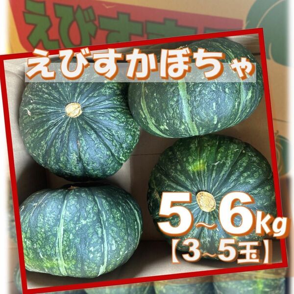 鹿児島県産　えびすかぼちゃ・南瓜　5〜6Kg