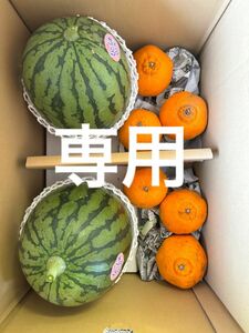 鹿児島県産　小玉スイカ　2玉　不知火セット　専用