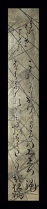 <C194956>[ genuine work ] one-side hill . light ( katsura tree full ) autograph Waka tanzaku | Edo era latter term. country . person 