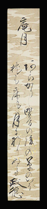 <C193407>[ genuine work ] heaven .. virtue autograph Waka tanzaku [. month ] Edo era latter term. curtain .*. person 