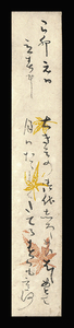 <C193683>[ genuine work ]. tea mountain (..) autograph Waka tanzaku | Edo era latter term. . person * poetry person 