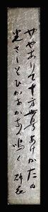 <C192430>[ genuine work ] Tomita . flower autograph Waka tanzaku | Meiji - Showa era era. . person * poetry person 