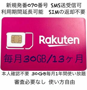 楽天プリペイドsimカード　月30GB高速データ通信専用 SMS受信可 データSIM SMS認証