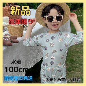 韓国子供服 水着 男の子 貝殻 水遊び スイムウェア キッズ ベビー 海 プール