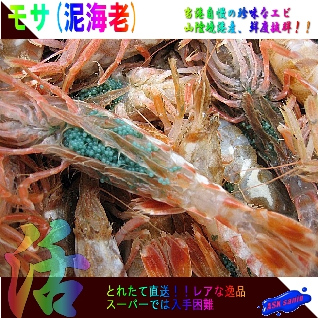 珍味なエビ「モサ(泥)海老3kg」．．．一般には流通しない自慢の逸品!!