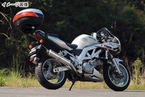 デイトナ GIVI 529FZ モノラックステー SV-K3　95927