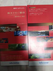 最新　西武鉄道 株主優待券 冊子　２冊 （１０００株以上権利分） 西武ホールディングス株主優待