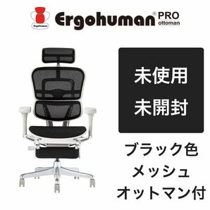 【未使用品】エルゴヒューマン プロ 2Ergohuman Pro オフィスチェア EHP2-LPL-GF-BKの画像1