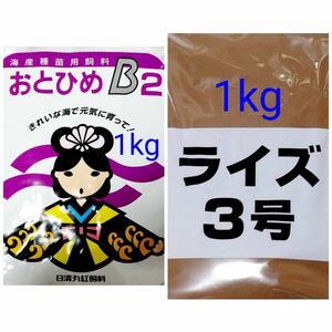 メダカの餌 日清丸紅 おとひめB2 1kg ライズ3号 1kg 熱帯魚