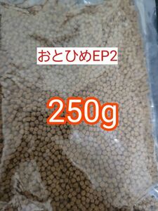 日清丸紅 沈下性 おとひめEP2 250g 約2mm アクアリウム 金魚 熱帯魚 らんちう