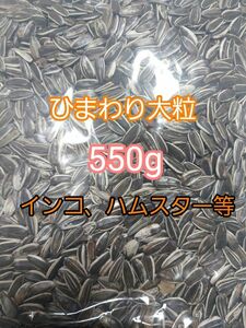 ひまわりの種 大粒 550g ひまわりの種 鳥の餌 小動物の餌 オウム インコ ハムスター