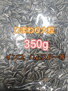 ひまわりの種 大粒 350g ひまわりの種 鳥の餌 小動物の餌 オウム インコ ハムスター