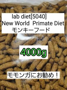 ラブダイエット 5040 モンキーフード 4000g lab diet マーモセット 小動物 モモンガ フクモモ