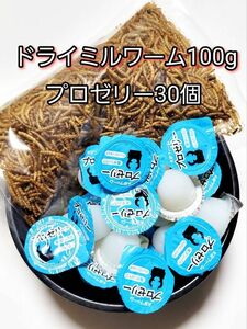 【送料無料】ドライミルワーム100g 国産 プロゼリー16g 30個 KBファーム 昆虫ゼリー カブトムシ クワガタ ハムスター等 小動物