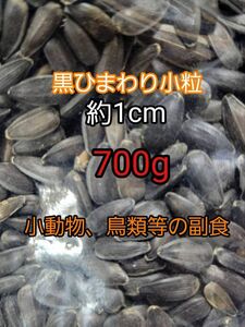 黒ひまわりの種 小粒 約1cm 700g ひまわりの種 鳥の餌 小動物の餌 インコ ハムスター