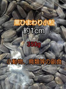 黒ひまわりの種 小粒 約1cm 350g ひまわりの種 鳥の餌 小動物の餌 インコ ハムスター