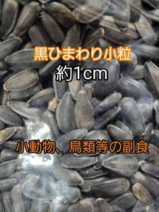 黒ひまわりの種 小粒 約1cm 200g ひまわりの種 鳥の餌 小動物の餌 インコ ハムスター
