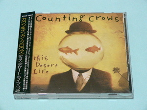 COUNTING CROWS / THIS DESERT LIFE // CD カウンティング クロウズ