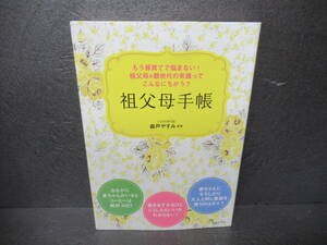 もう孫育てで悩まない! 祖父母&親世代の常識ってこんなにちがう? 祖父母手帳 / 森戸やすみ　　5/1513