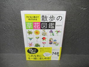 子どもに教えてあげられる 散歩の草花図鑑 (ビジュアルだいわ文庫) / 岩槻秀明　　5/2511