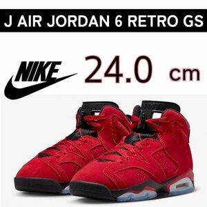 NIKE J AIR JORDAN 6 RETRO GS ナイキ エアジョーダン6 レトロ レディース キッズ シューズ 384665-600 24.0