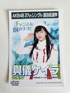 NMB48 與儀ケイラ AKB48 37thシングル選抜総選挙 生写真 