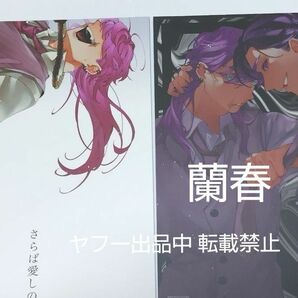 東リベ 同人誌 蘭春 有給ください 亀酢 2冊セット 東京リベンジャーズ BL DOUJINSHI