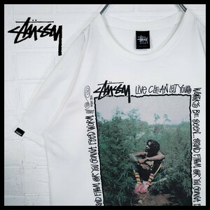 【STUSSY】peter tosh コラボ　Tシャツ