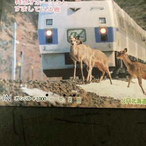 ☆ オレンジカード(使用済み) JR北海道　特急オホーツクと、すましている鹿　シカ