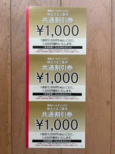 【送料無料】西武ホールディングス 株主優待 共通割引券 1000円×3枚(3000円分) 有効期限2024.5/31まで