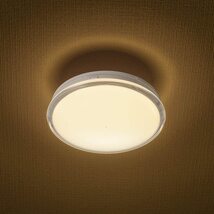 オーム(OHM) 電機 LEDシーリングライト 小型 ミニ 玄関/トイレ/廊下 薄型 薄形 ミニシーリングライト 60形 720ルーメン 電球色_画像2