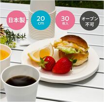 日本デキシー 紙皿 20cm 30枚入×10 使い捨て 日本製 エコノウエア KFL308EW_画像5