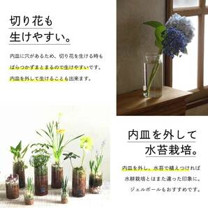 SPICE OF LIFE(ス) 水替えしやすい 水栽培ガラスベース 花瓶 BULB VASE バルブベース クリア ショート 直径8cm 高さの画像4