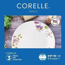 コレール(Corelle) 3点セット 中皿 深皿 小ボウル 割れにくい 軽量 電子レンジ対応 オーブン対応 食洗機対応 デイリー バイオレット_画像4