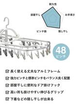 シービージャパン(CB JAPAN) 洗濯物干し ピンチハンガー 48ピンチ ホワイト×グレー 部屋干しに便利なドア掛けフック 高い所に掛けやす_画像3