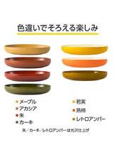 アサヒ興洋 皿 プレート カレー皿 パスタ皿 若実 1枚入 電子レンジ対応 食洗機対応 オーバルプレート ランチプレート 日本製 WAYOWAN_画像6