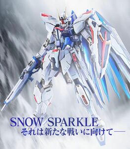 METAL BUILD フリーダムガンダム SNOW SPARKLE 