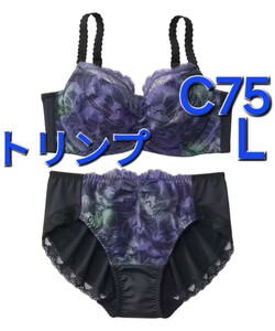 700 jpy start *9-48 new goods C75 Lto Lynn p bra & shorts set front center - accent. gya The - entering . stylish feeling . plus 